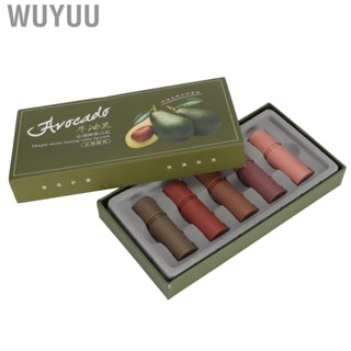 Wuyuu Lipstick Set  Makeup 18g 5 Kinds Of Colors Portable for Party Women