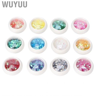 Wuyuu Manicure Sequins  Glitter Colorful Holographic Nail for Home Use Salon