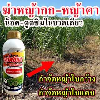 🛒สูตรเข้มข้น🛒 ฆ่าหญ้า หญ้าใบแคบ ใบกว้าง และในนาข้าว ก่อนปลูก 1 ลิตร สารเคมีกำจัด ฆ่าหญ้าคา วัชพืชอินทรีย์  ชนิดเผาไหม้