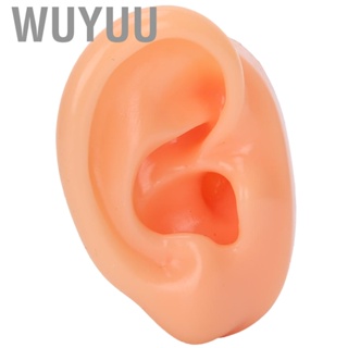 Wuyuu Human Ear Model Authentic Modeling Practical Silicone Soft Feelings