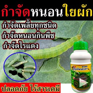 ไร้สารเคมี📢 กำจัดหนอนชอนใบ สารกำจัดแมลง น้ำสะเดา 500 ซีซี กำจัดเพลี้ยไฟ ยากำลังจัดแมลงในข้าว ยากำจัดหนอน ยาฆ่าเพลี้ย