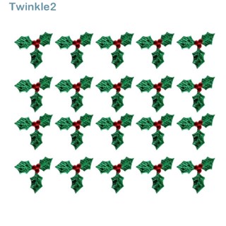 Twinkle ป้ายแท็ก ปักเลื่อม รูปใบไม้ เบอร์รี่ สีเขียว ขนาดเล็ก 3.5 ซม. สําหรับตกแต่งคริสต์มาส 100 ชิ้น