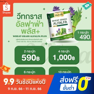 สุดคุ้ม!! วีทกราส อัลฟาฟ่า คลอโรฟิลล์ ยูมิโกะ ไฟเบอร์ ล้างสารพิษ ลำไส้ ขับถ่าย ปริมาณ 200 กรัม Wheatgrass Alfalfa yumiko