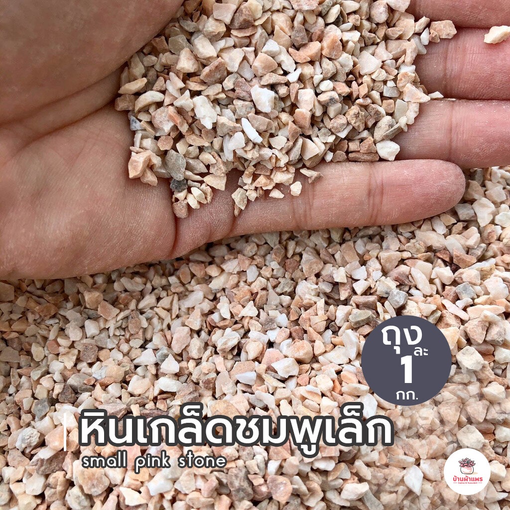 ถุงละ 1 กก. หินเกล็ดชมพูเล็ก หินโรยหน้ากระถาง แคคตัส กระบองเพชร ไม้อวบน้ำ