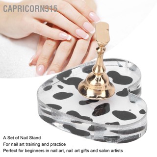 Capricorn315 ขาตั้งจอแสดงผลเล็บอะคริลิคเนื้อวัวแม่เหล็ก DIY เล็บสำหรับ Salon Home ทำเล็บมือ