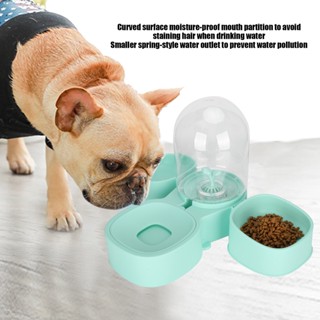 Pets Shop Cat Bowls Set เครื่องจ่ายน้ำแบบถอดได้ Automatic Pet Feeder Dogs Feeding Supplies