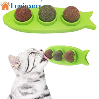 Lumiparty Catnip ของเล่นลูกบอล พร้อมฝาครอบใส 3-in-1 สําหรับแมว