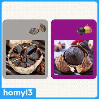 [Homyl3] เครื่องหมักกระเทียม พร้อมฝาปิดใส สีดํา สําหรับโยเกิร์ต กระเทียม