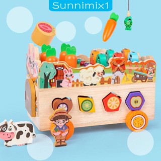 [Sunnimix1] ของเล่นไม้ รูปทรงมอนเตสซอรี่ จับคู่ ของขวัญ สําหรับเด็กอนุบาล ก่อนวัยเรียน