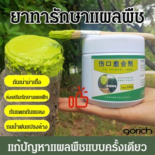 ครีมบํารุงต้นไม้ ผลไม้ ทราอุมา สารสกัดจากพืชเห่า ต้นไม้บําบัด สารเคลือบต้นไม้ขนาดใหญ่