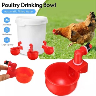 New 6pcs Poultry Water Drinking Cups Chicken Hen Quail Plastic Automatic Drinker