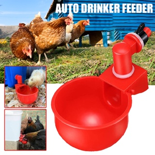 2/4pcs Poultry Water Drinking Cups Chicken Hen Quail Plastic Automatic Drinker