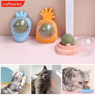 Craftseries ลูกบอลมิ้นท์ หมุนได้ อุปกรณ์เสริม สําหรับสัตว์เลี้ยง แมว C2R5