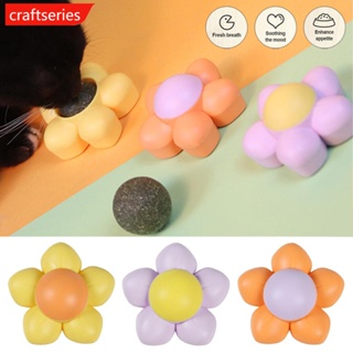 Craftseries ของเล่นลูกบอลทําความสะอาดฟัน สําหรับสัตว์เลี้ยง แมว W5X4