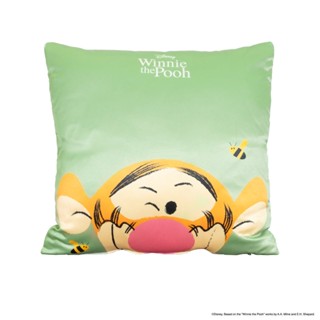 Disney home หมอนอิง รุ่น DISNEY BUZZYBEE TIGGER 01 สีเขียว (40 x 40 x 15 ซม.)