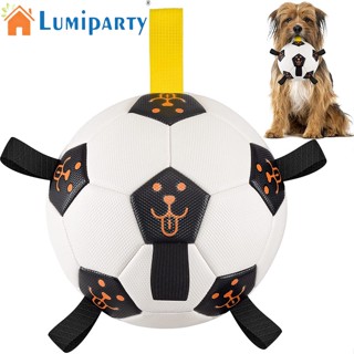 Lumiparty ลูกบอลของเล่น อเนกประสงค์ ยืดหยุ่น สําหรับฝึกสุนัข สัตว์เลี้ยง