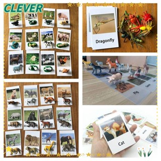 Clever โปสการ์ด รูปสัตว์ปีก แมลง หลากสี ของเล่นเสริมการเรียนรู้เด็กก่อนวัยเรียน