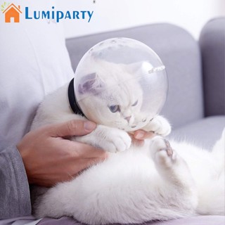 Lumiparty ตะกร้อครอบหัว ระบายอากาศ ป้องกันการกัด ปรับได้ สําหรับสัตว์เลี้ยง แมว