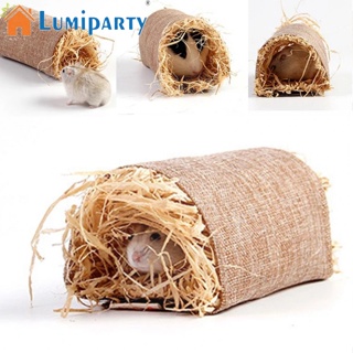 Lumiparty ของเล่นอุโมงค์ฟาง อเนกประสงค์ ทนต่อการกัด สําหรับสัตว์เลี้ยง กระต่าย หนูตะเภา