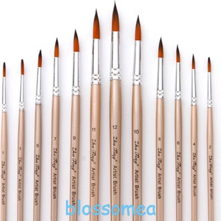 Blossomea ชุดแปรงขนไนล่อน 12 ชิ้น สีโรสโกลด์ ด้านหน้ากลม แปรงสีน้ํา gouache แปรงอะคริลิค แปรงเริ่มต้น