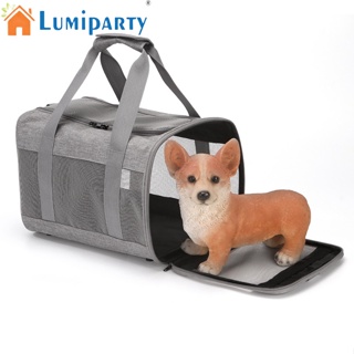 Lumiparty กระเป๋าเป้สะพายหลัง ผ้าตาข่าย ระบายอากาศ แบบพกพา พับได้ สําหรับสัตว์เลี้ยง สุนัข แมว