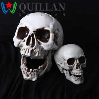 Quillan โมเดลหัวกะโหลก โครงกระดูกสยองขวัญ สําหรับตกแต่งปาร์ตี้ฮาโลวีน