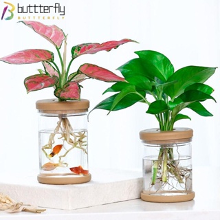 Buttterfly แจกันดอกไม้ไฮโดรโปนิก สไตล์เรียบง่าย สําหรับตกแต่งบ้าน ออฟฟิศ