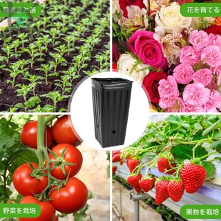 กระถางต้นไม้ พลาสติก ทรงสูง 7.8 นิ้ว 20 ชิ้น SHOPCYC1837