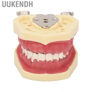 Uukendh Demonstration  Model  Oral Prevention Dental Typodont Exhibition Educational Studying for Dentist Student Root Planing