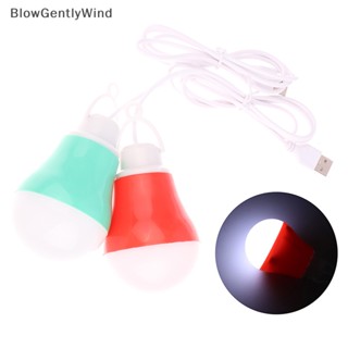 Blowgentlywind หลอดไฟฉุกเฉิน LED 5V แรงดันต่ํา ชาร์จ USB สําหรับซ่อมแซมเต็นท์ ทํางาน บาร์บีคิว ตกปลา นอกบ้าน ตั้งแคมป์ อุปกรณ์ BGW