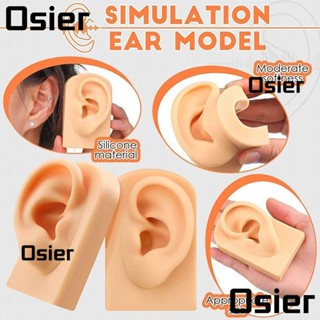 Osier1 โมเดลซิลิโคน สําหรับฝึกซ้อมต่างหู