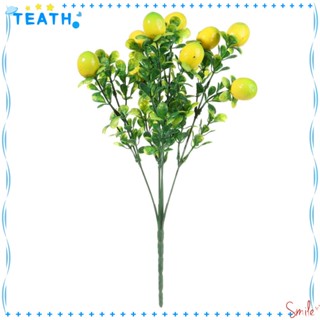 Teath กิ่งมะนาว ใบไม้สีเขียว สําหรับตกแต่งบ้าน ฟาร์ม บอนไซ