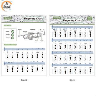【IS】 โปสเตอร์คอร์ดทรัมเป็ต แผนภูมิคอร์ดร่วมกัน การก้าวหน้าของคอร์ด เพื่อการศึกษา แผนภูมินิ้ว ดนตรี ผนังศิลปะ สําหรับครู