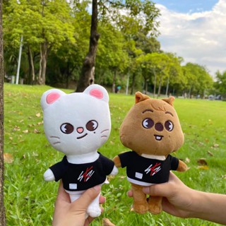 ตุ๊กตาเด็กจรจัด SKZ PLUSH