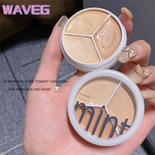 wave Sweetmint Aritistic คอนซีลเลอร์สามสี คอนซีลเลอร์ 3 สีอเนกประสงค์