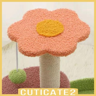 [Cuticate2] อุปกรณ์เฟอร์นิเจอร์ สําหรับแมว ขนาดเล็ก ขนาดกลาง