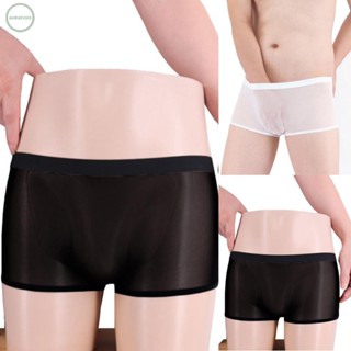 GORGEOUS~Underwear Mens See-through Boxer Briefs Sheer Mesh Underwear Lingerie