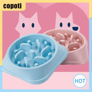 Copoti ชามให้อาหารสัตว์เลี้ยง เขาวงกต แบบช้า สําหรับสุนัข และแมว