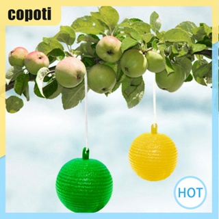 Copoti กับดักแมลงบิน 8 ซม. 8 ซม. สําหรับบ้าน ห้องครัว บ้าน ในร่ม กลางแจ้ง