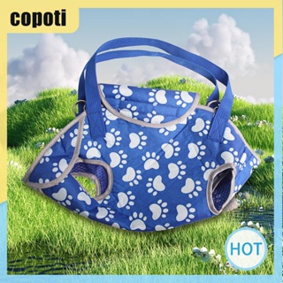 Copoti กระเป๋าใส่สัตว์เลี้ยง แบบพกพา อุปกรณ์เสริม สําหรับสัตว์เลี้ยง สุนัข แมว