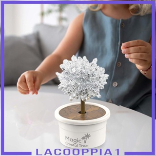 [Lacooppia1] ชุดทดลองวิทยาศาสตร์ คริสตัล ของเล่นเสริมการเรียนรู้ สําหรับเด็กวัยหัดเดิน