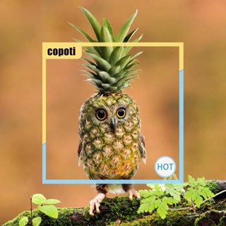 Copoti รูปปั้นนกฮูก สับปะรดเรซิ่น กันน้ํา สําหรับตกแต่งบ้าน สวน