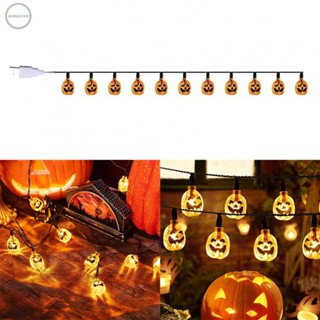 GORGEOUS~6M 40LED Pumpkin Lanterns String Lights Halloween Theme Indoor/Outdoor Decor