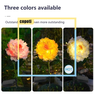 Copoti โคมไฟพลังงานแสงอาทิตย์ IP65 กันน้ํา สําหรับตกแต่งสวน 2 ชิ้น