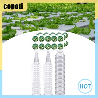 Copoti ถาดปลูกต้นไม้ แบบใส อเนกประสงค์ สําหรับบ้าน และสวน