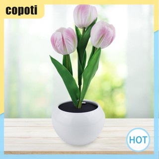 Copoti โคมไฟตั้งโต๊ะ LED รูปดอกทิวลิป เพื่อความปลอดภัย ของขวัญวันวาเลนไทน์ สําหรับบ้าน ข้างเตียง งานแต่งงาน