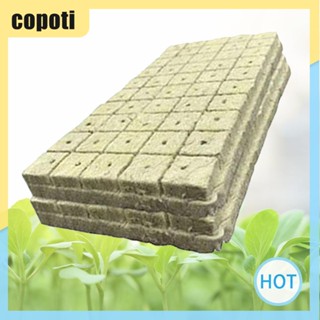 Copoti บล็อกปลั๊กสตาร์ทเตอร์ อเนกประสงค์ สําหรับปลูกต้นไม้ 100 ชิ้น