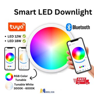 Tuya APP LED ฝังเพดานดาวน์ไลท์ WiFi บลูทูธสมาร์ทหลอดไฟ RGB + CW + WW สีอัตโนมัติเปลี่ยนเพลงจังหวะ MOLISA