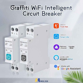 Wifi Tuya 1p 63a Rail Smart Circuit Breaker สำหรับสมาร์ทรีโมทคอนโทรลไร้สายโดย App MOLISA