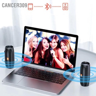 Cancer309 ลำโพงบลูทูธไร้สายการ์ดรถกลางแจ้งและซับวูฟเฟอร์ USB แบบพกพาขนาดเล็กเดสก์ท็อปที่บ้าน